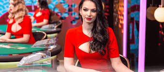 Slots jackpot win result displayed on cc77 casino highlights page